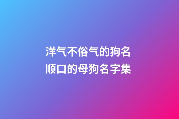 洋气不俗气的狗名 顺口的母狗名字集